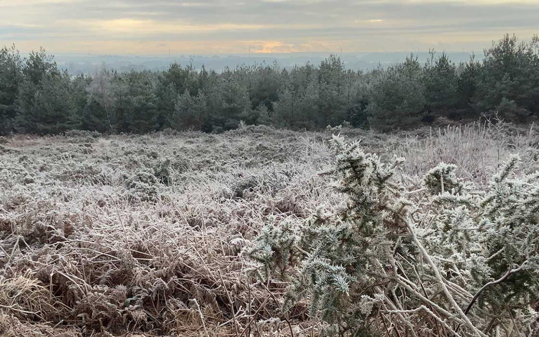 Dorset Heaths Partnership