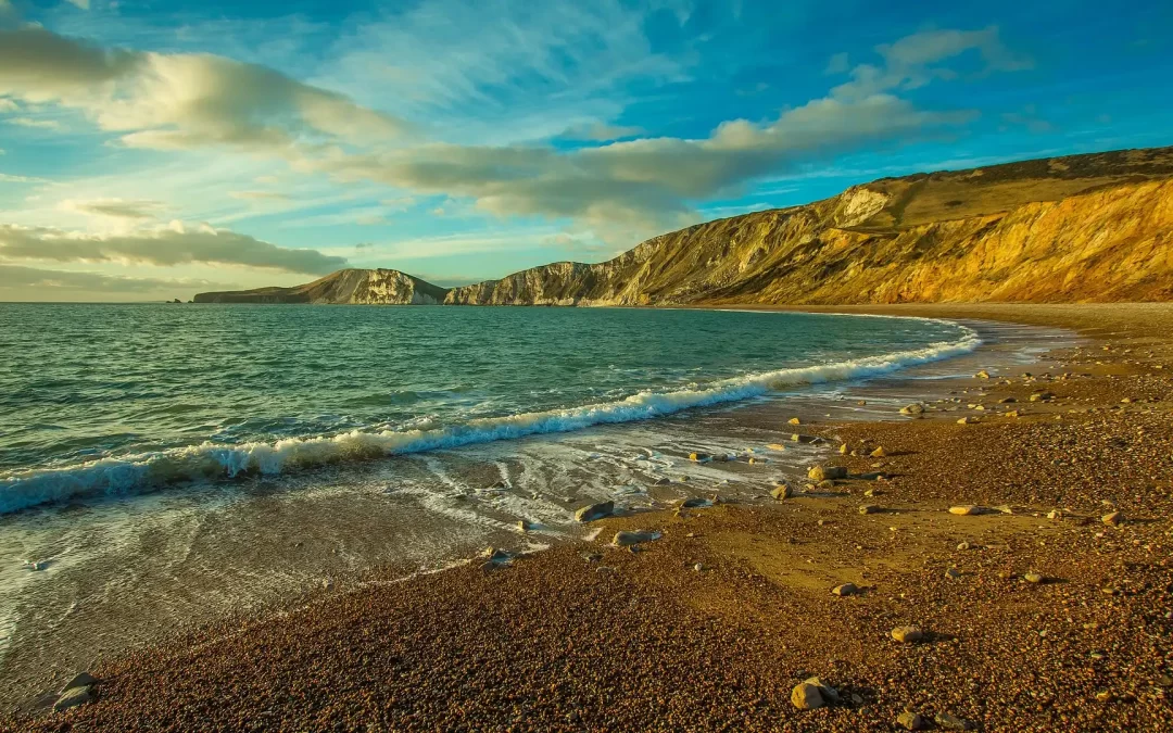 Dorset Coast Forum